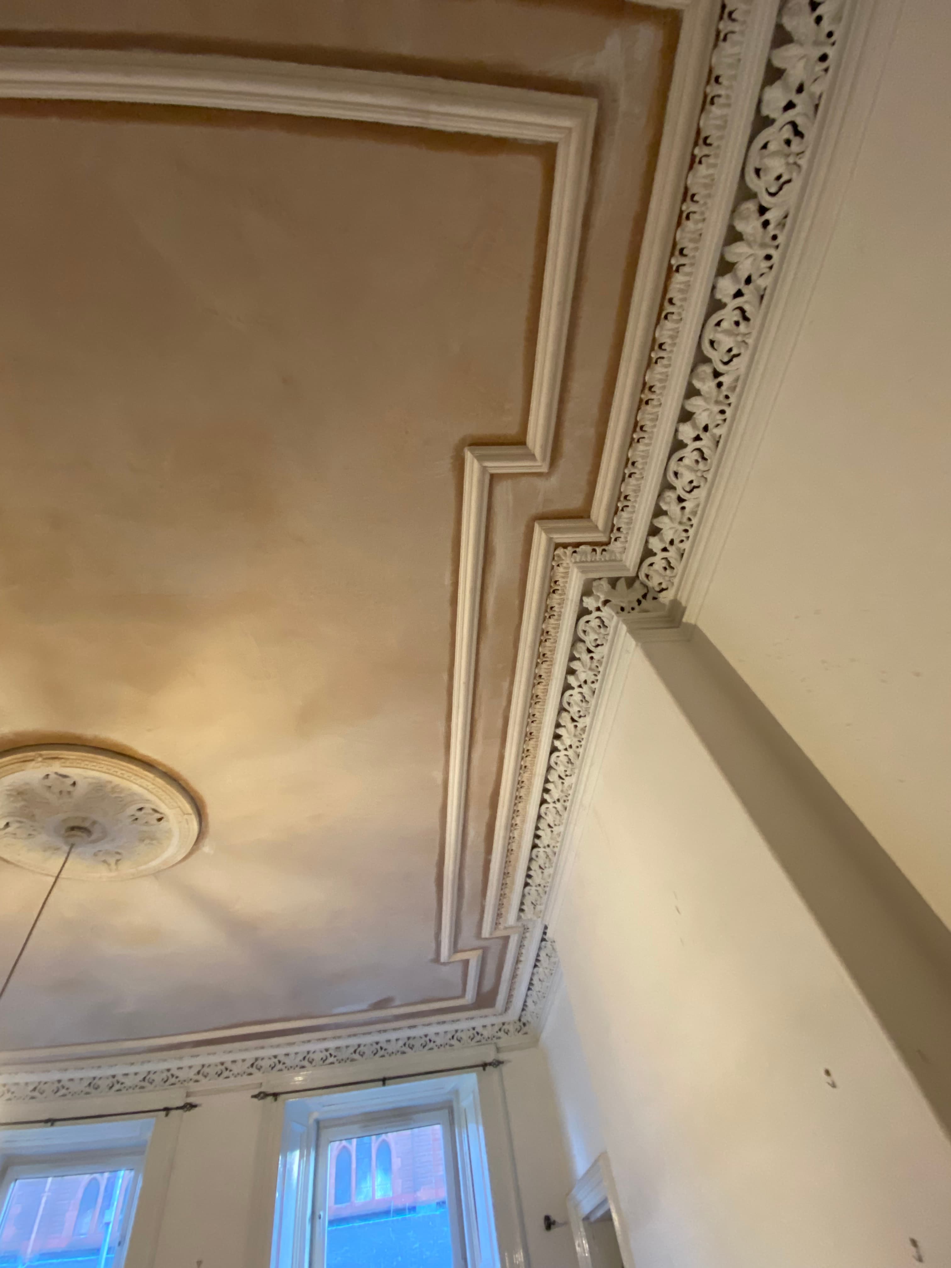 Ornamental plaster ceiling rose