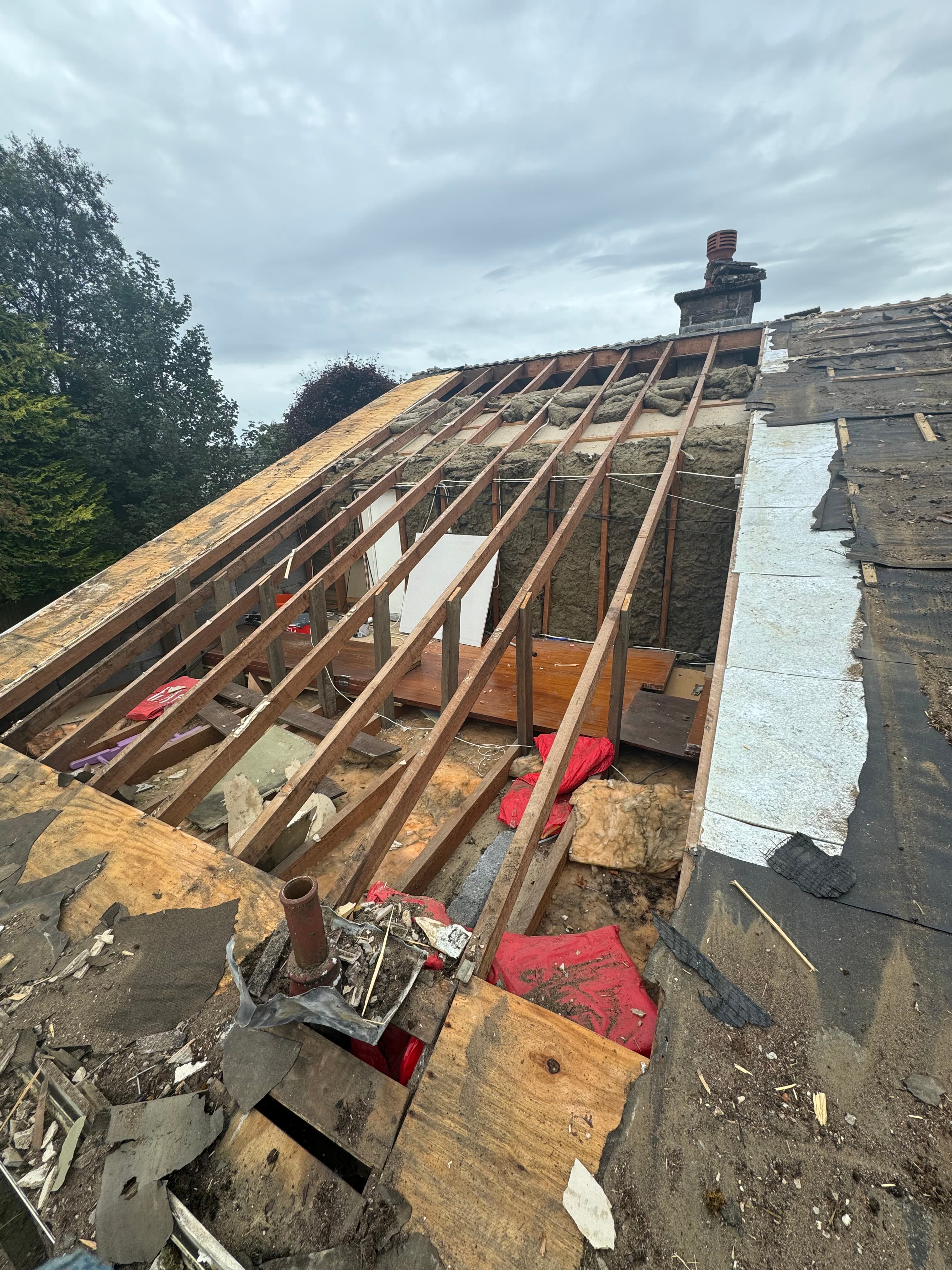 Cornice and rose after restoration