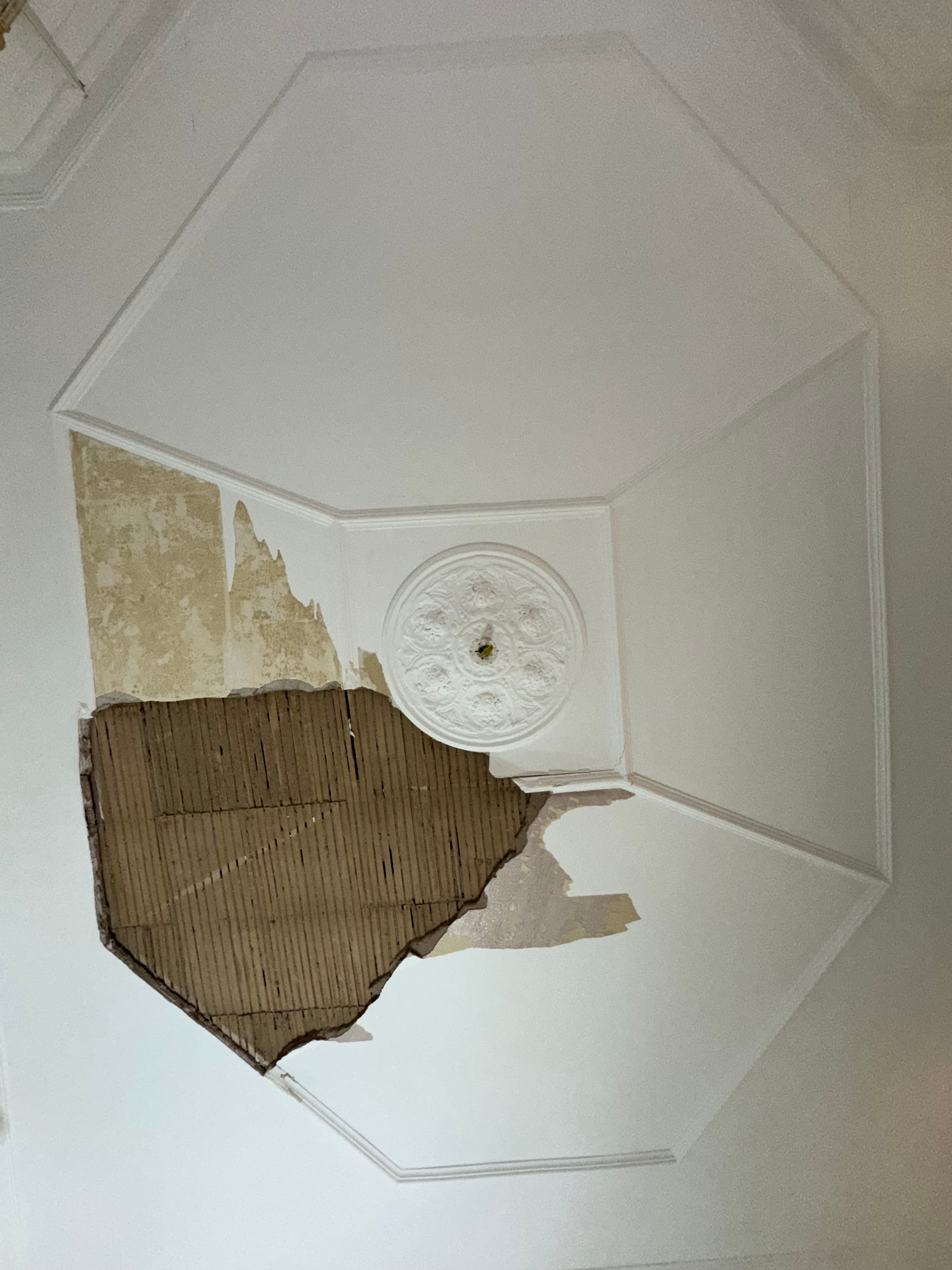 Plaster repair