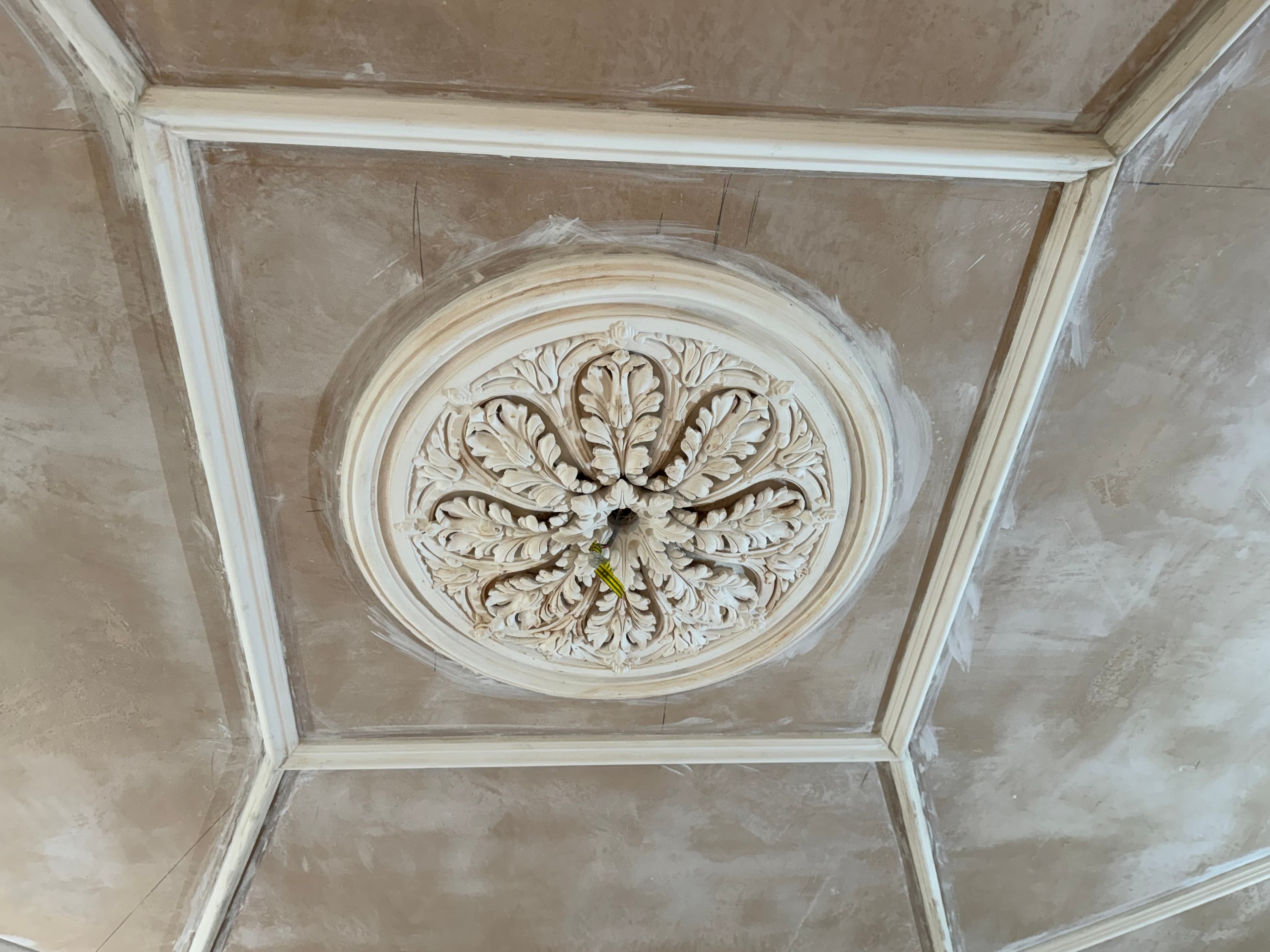 Ceiling around a light rose after reboarding
